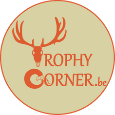 TrophyCorner
